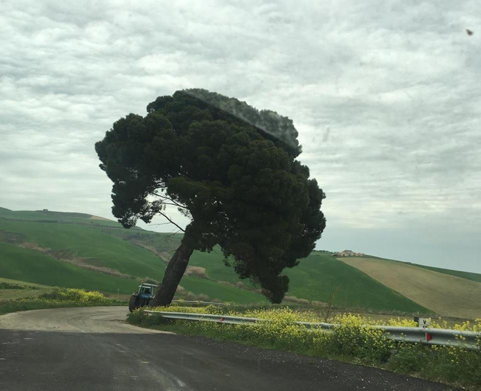 Le Antiche Mura Irsina Экстерьер фото